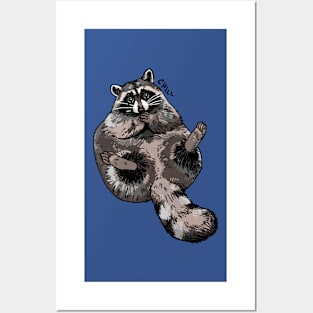 Chill Raccoon Posters and Art